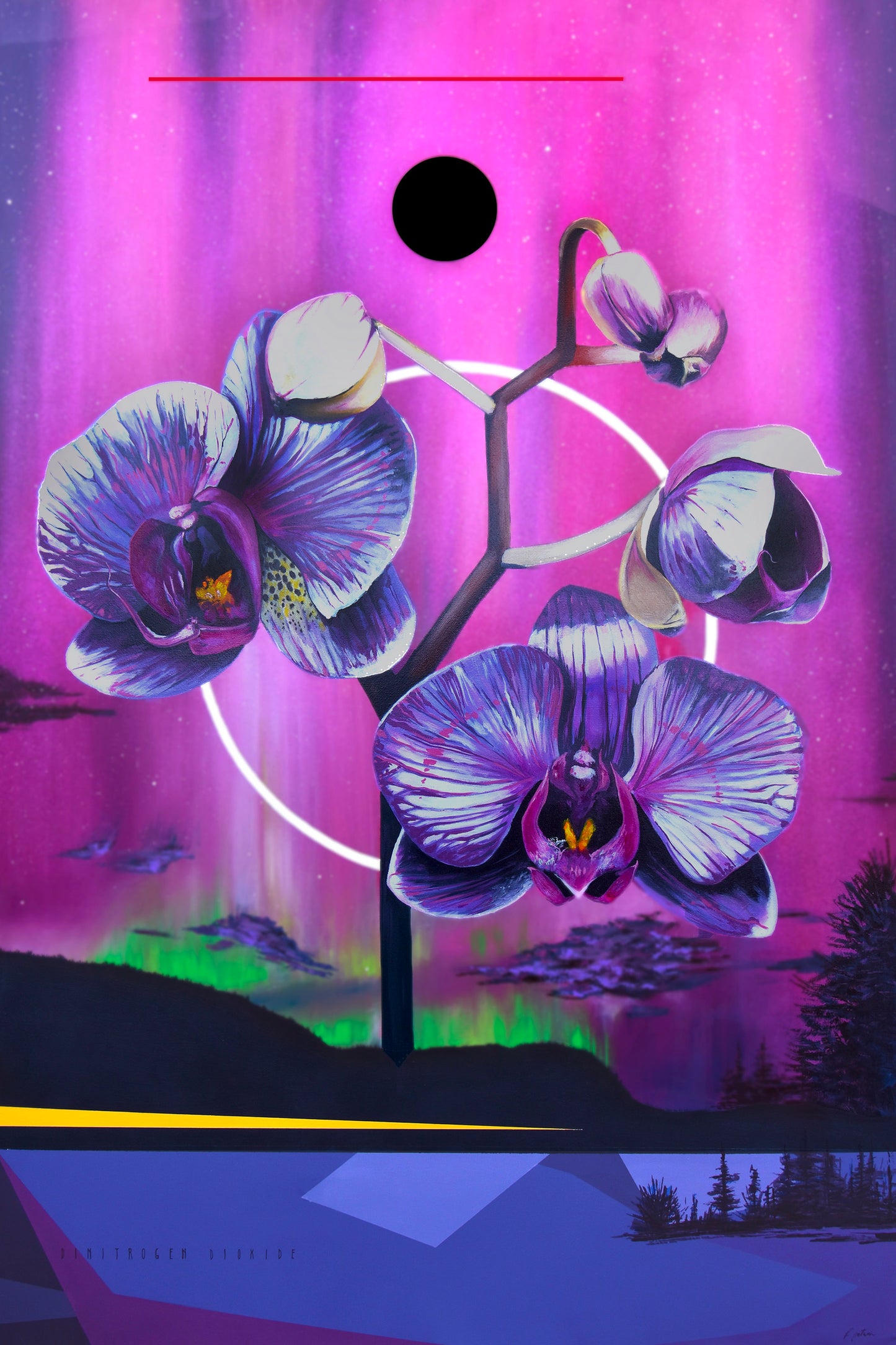 Fabio Petani - Dinitrogen Trioxide & Phalaenopsis Charming Salmon