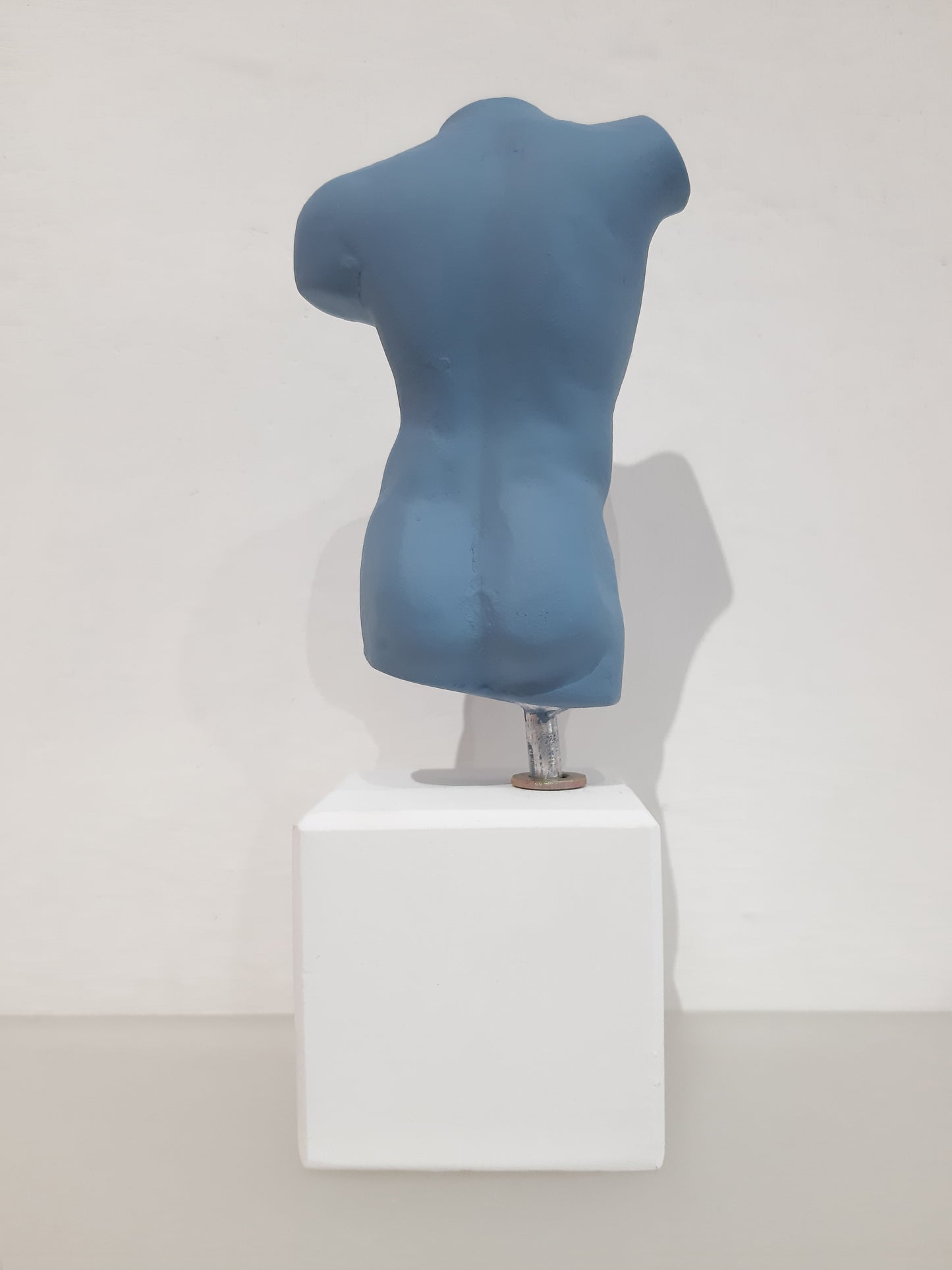 Sophia - Busto uomo small