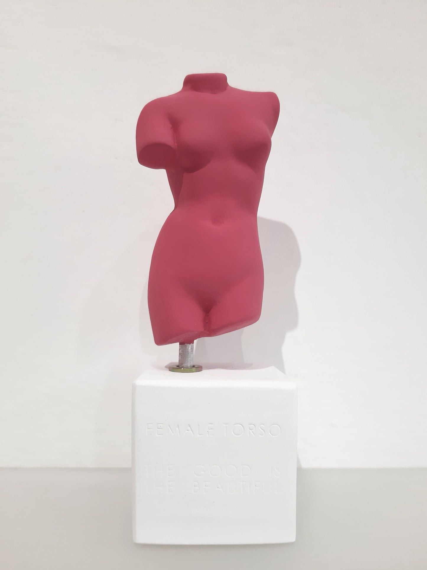 Sophia - Busto Donna small