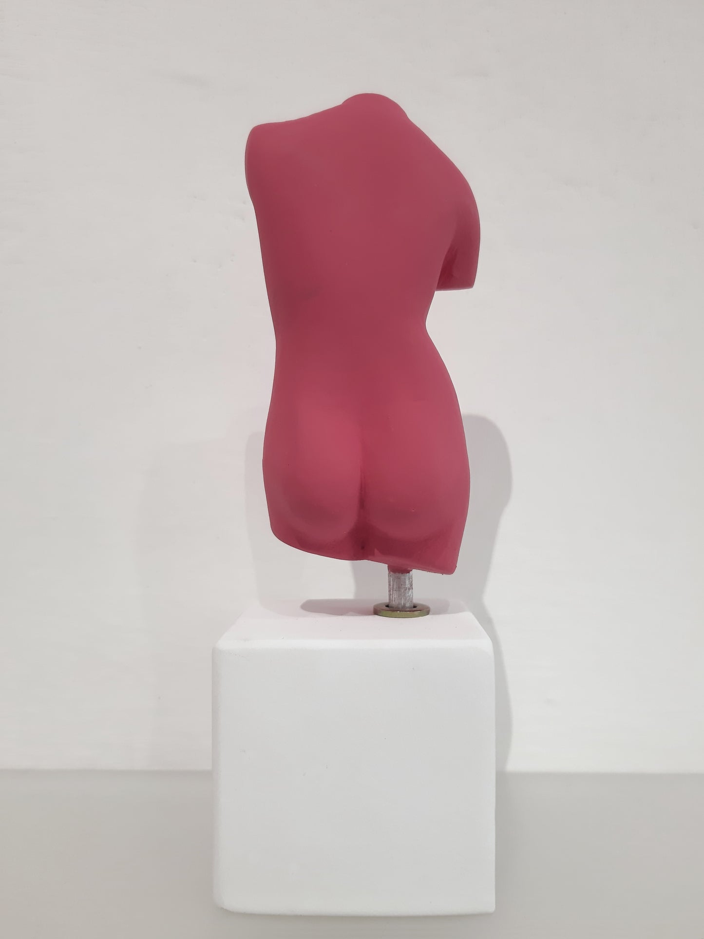Sophia - Busto Donna small