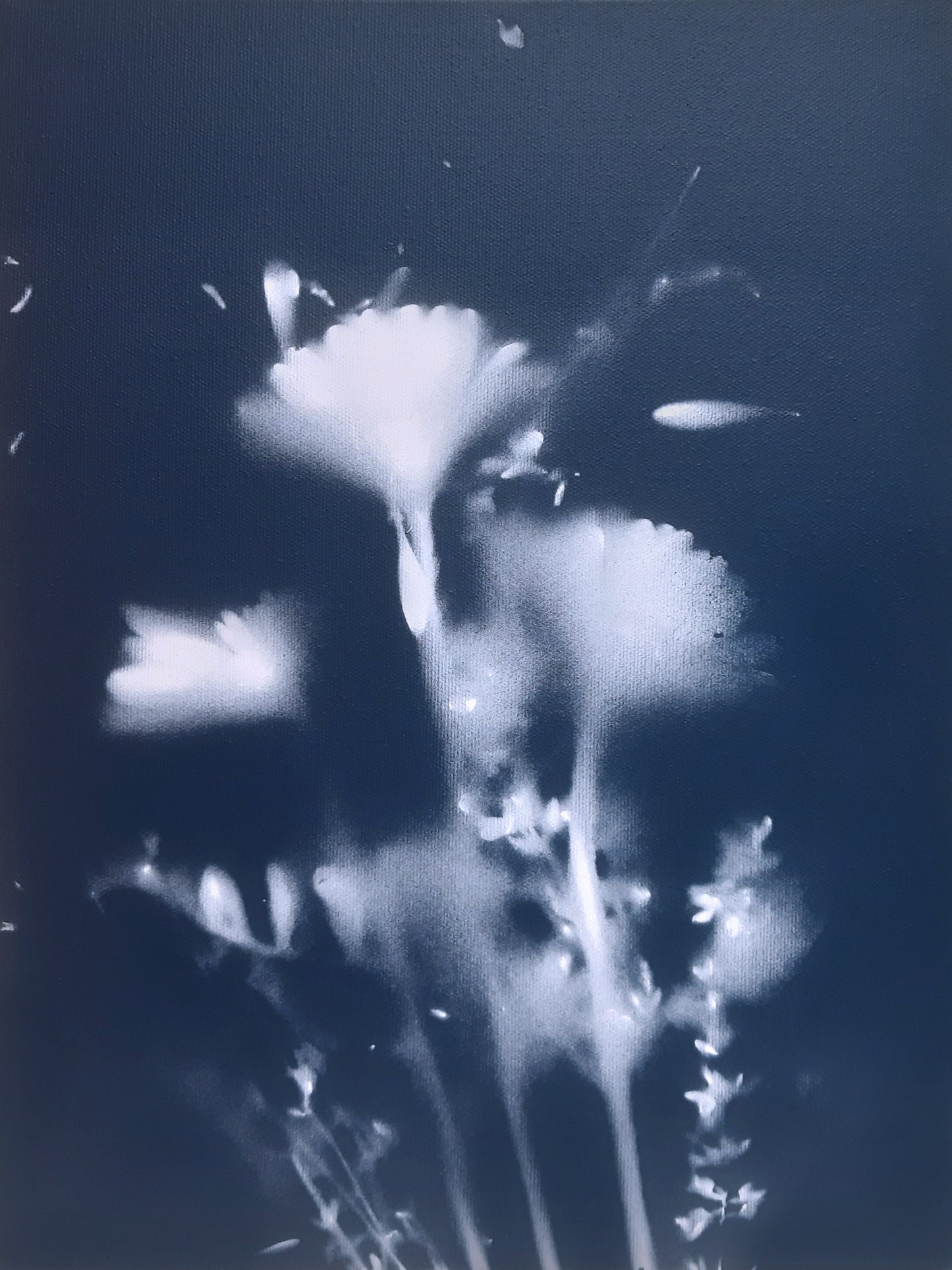 Andrea Bertoletti - Fragile 0229