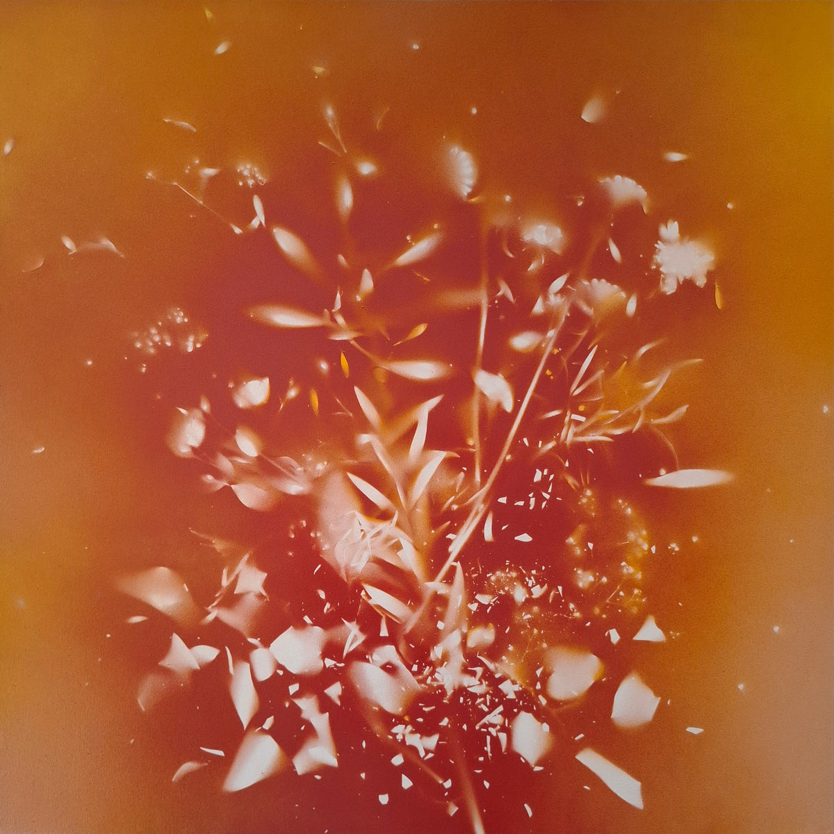 AndreaBertoletti-Fragilityn308-100x100Spray_acrilicosutela2026