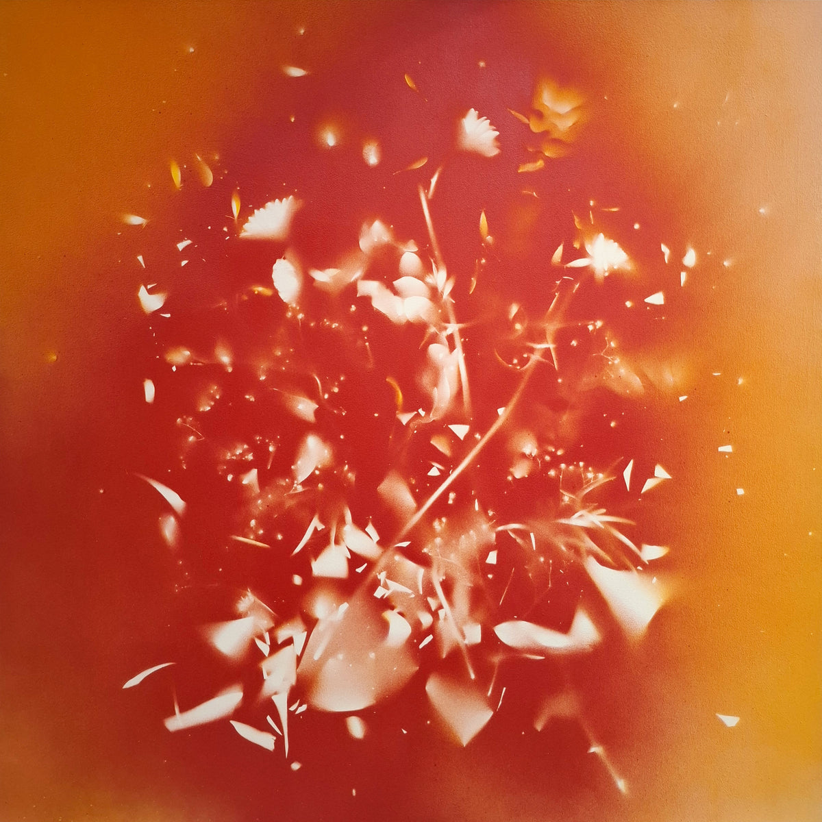 AndreaBertoletti-Fragilityn318-100x100Spray_acrilicosutela2026