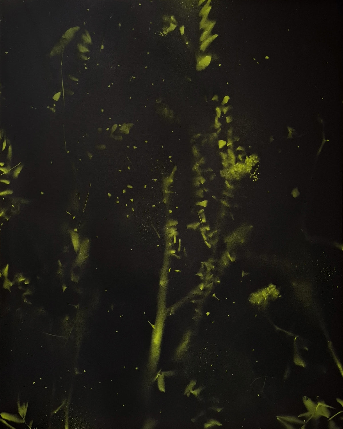 Andrea Bertoletti - Notturno n.081