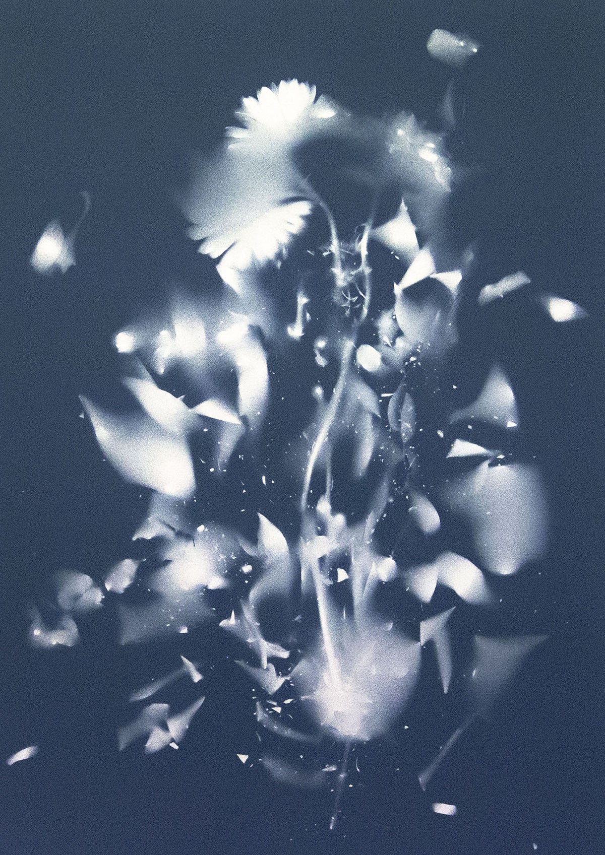 Andrea Bertoletti - Fragility n.020