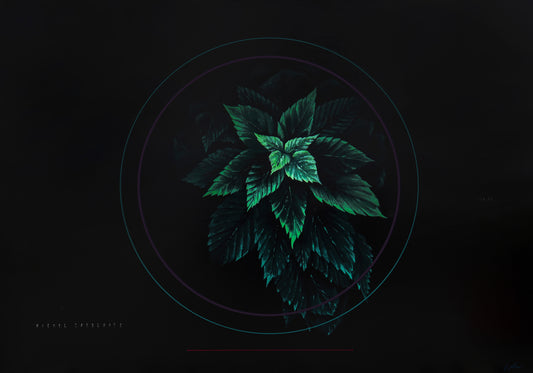 Fabio Petani - Nickel Carbonate & Urtica Dioica