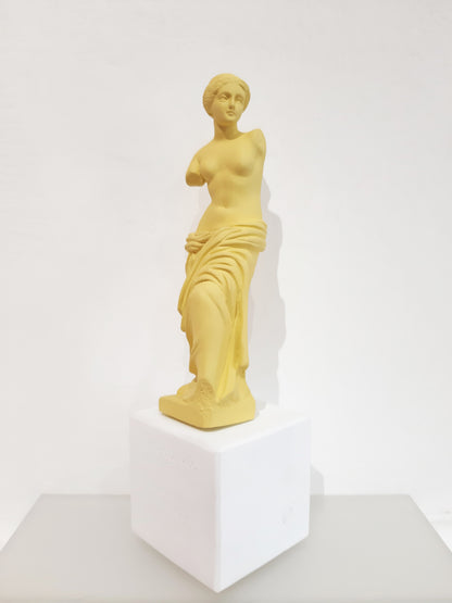 Sophia - Venere small