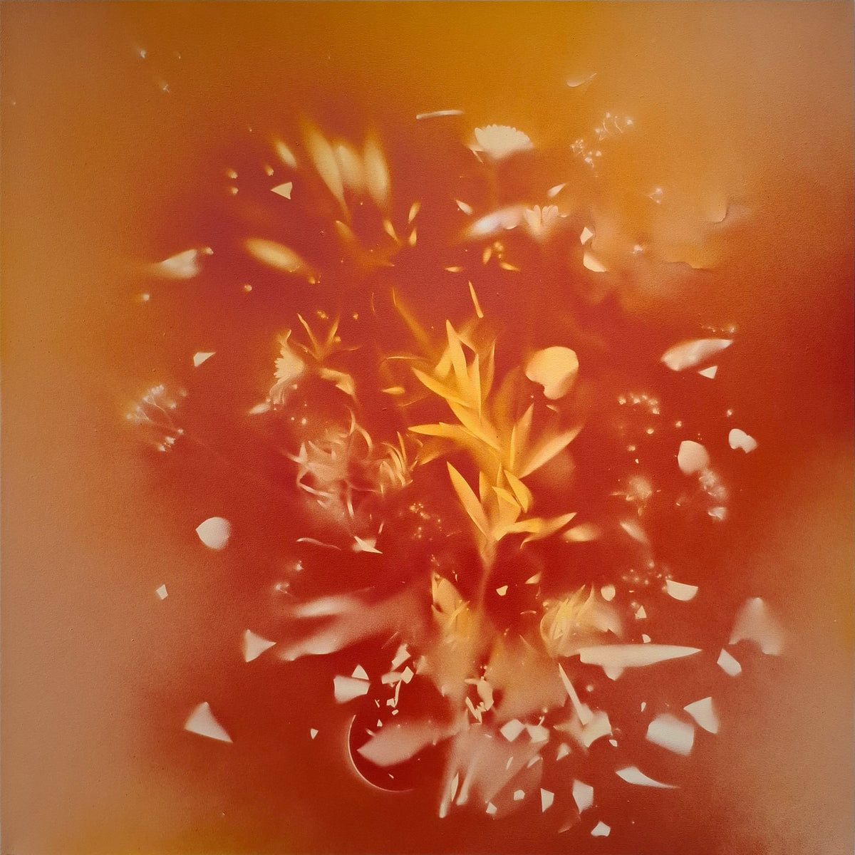 AndreaBertoletti-Fragilityn.298-100x100Spray_acrilicosutela2026