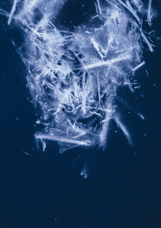 Andrea Bertoletti -  Nest Remains - Galleria d'arte Quadrifoglio