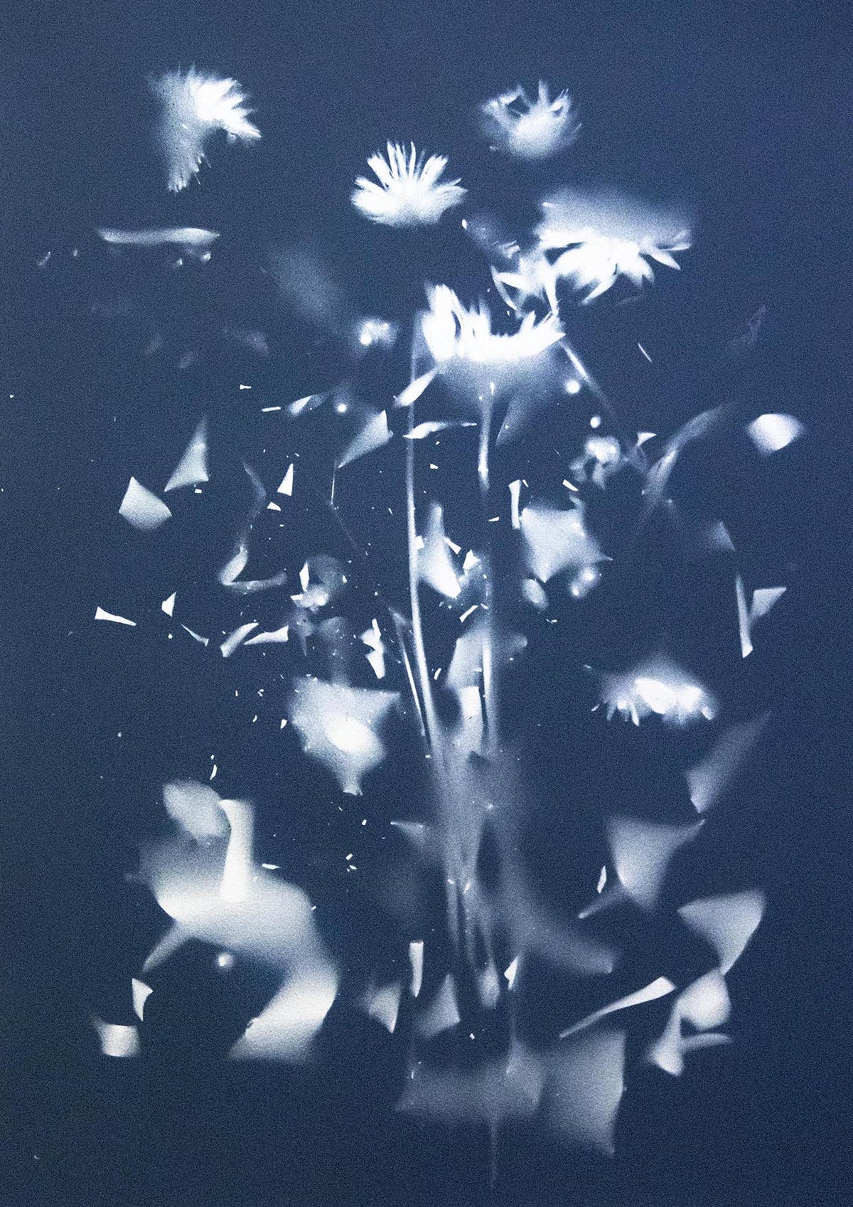 Andrea Bertoletti - Fragility n.011