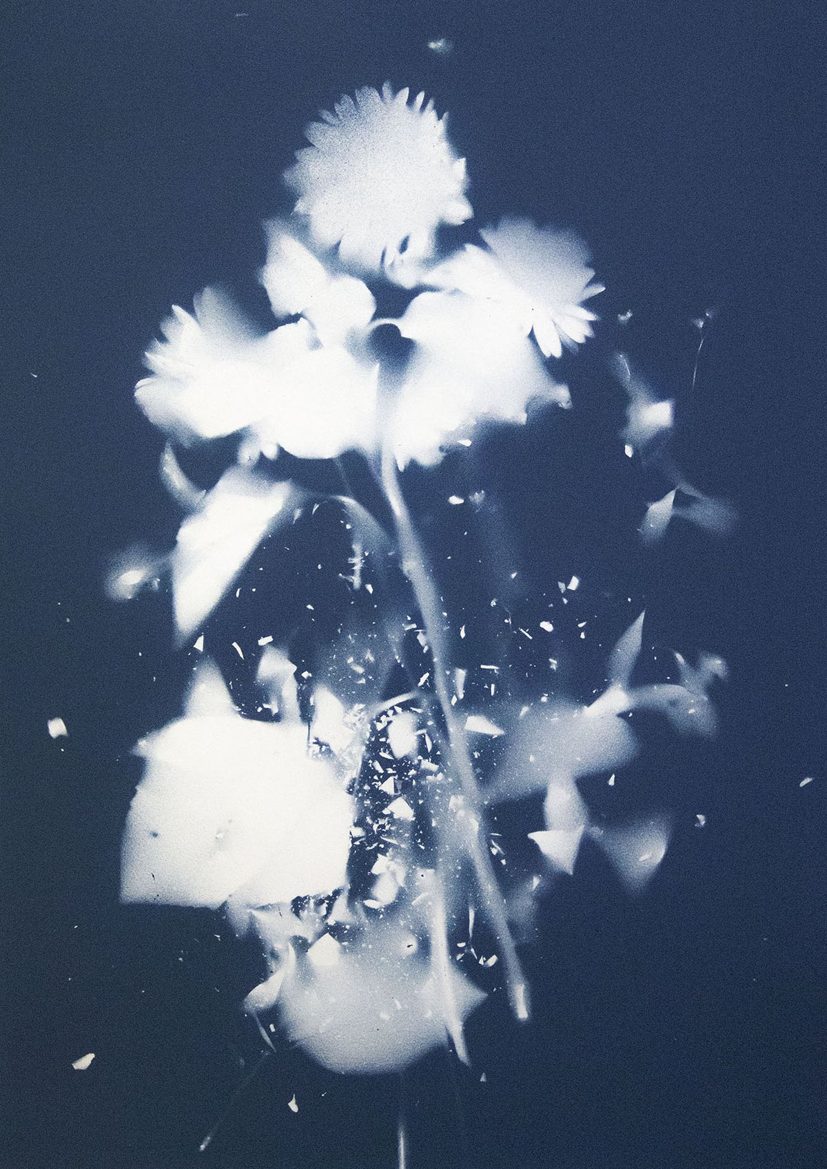 Andrea Bertoletti - Fragility n.028