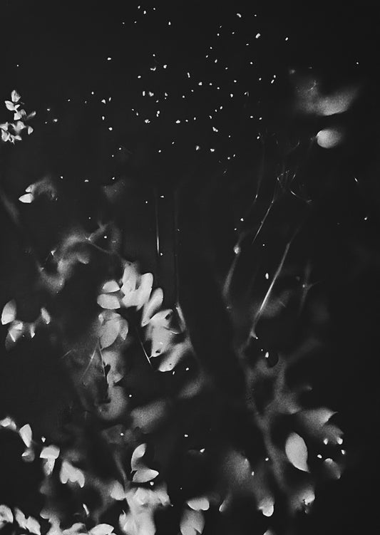 Remains_NOTTURNO_0191_spraysucarta_50x70_2025_Galleria Quadrifoglio